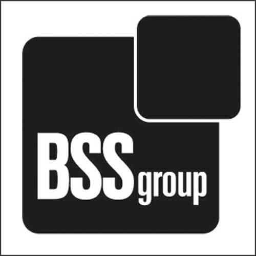 BSS group Logo
